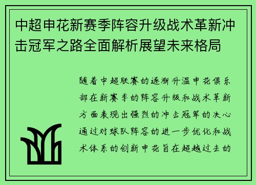 中超申花新赛季阵容升级战术革新冲击冠军之路全面解析展望未来格局